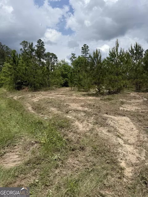 0 Jordan Rd, Byron, GA 31008 photo 11