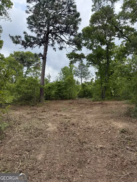0 Jordan Rd, Byron, GA 31008 photo 9