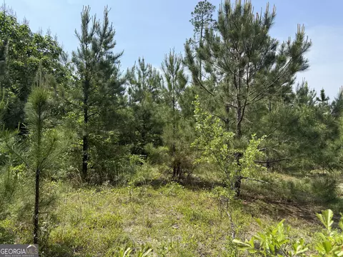 0 Jordan Rd, Byron, GA 31008 photo 4
