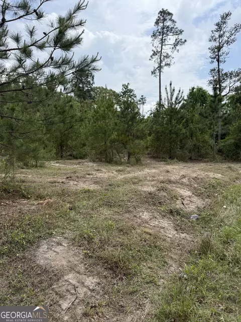 0 Jordan Rd, Byron, GA 31008 photo 23