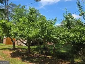 Other - 2799 Mockingbird Cir, Duluth, GA 30096 photo 17 of 19