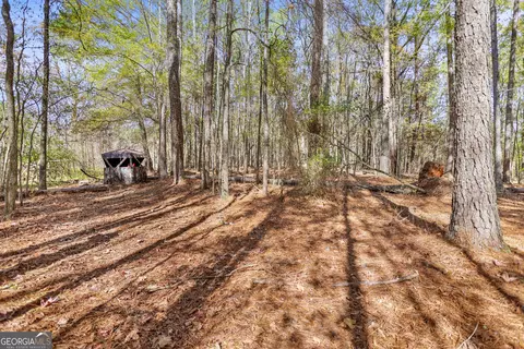 20 14 Drew Allen Rd, Williamson, GA 30292