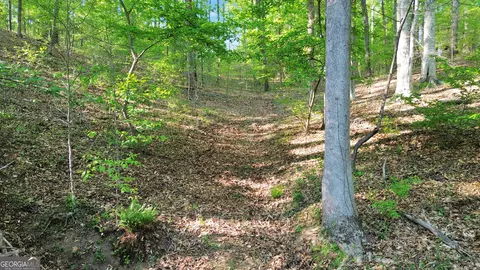 0 Flanagan Mill Rd, Auburn, GA 30011