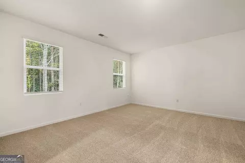 Other - 146 Oakchase Park Ln, Hampton, GA 30228 photo 12 of 15