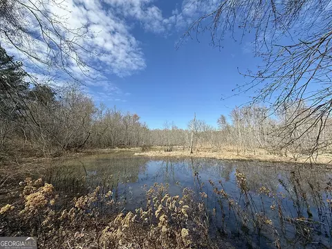 0 White Springs Rd, Dry Branch, GA 31020