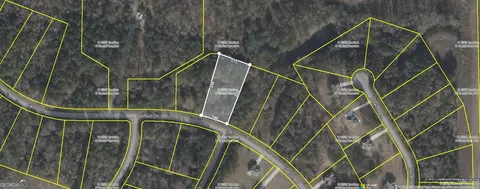 195 Gadson Dr, Fayetteville, GA 30214
