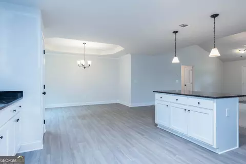 3229 Tommy Dillard Rd, Monroe, GA 30656 photo 12