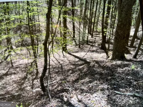 0 Othello Dr #959, Ellijay, GA 30540
