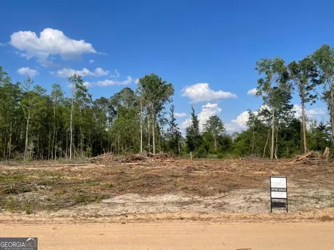 0 Sam Anderson Rd, Glennville, GA 30427