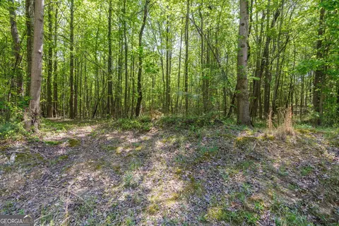 230 Dyer Rd #TRACT 2, Gillsville, GA 30543