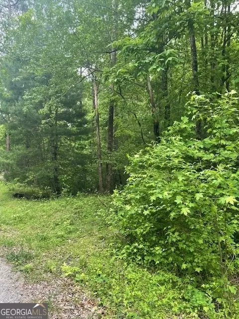0 Mccormick Dr, Dawsonville, GA 30534
