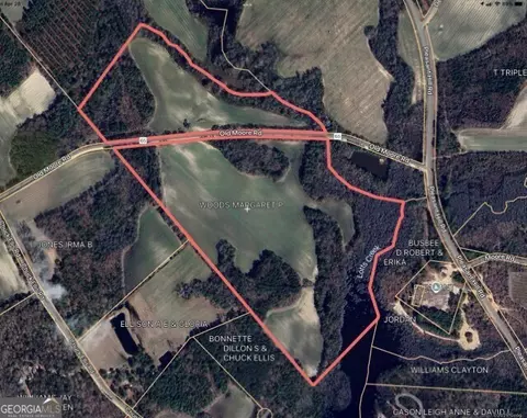 0 Old Moore Rd, Portal, GA 30450
