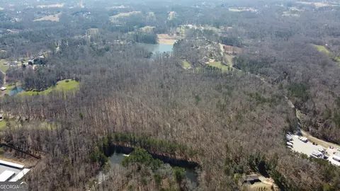 0 Beavers Rd, Canton, GA 30115 photo 13