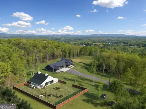 Other - 281 Abbott Dr, Canton, GA 30114 photo 30 of 31