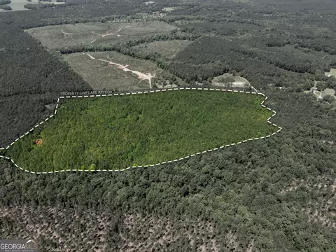 3678 Lundberg Rd, Washington, GA 30673