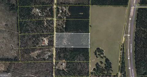 6 S 16 Acres S Mt Sinai Rd, Butler, GA 31006