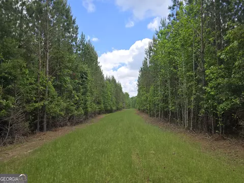 0 Davis Lake Rd, Thomaston, GA 30286 photo 10