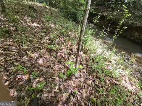 0 Davis Lake Rd, Thomaston, GA 30286 photo 24