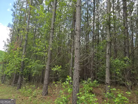 0 Davis Lake Rd, Thomaston, GA 30286 photo 11