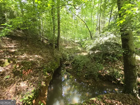 0 Davis Lake Rd, Thomaston, GA 30286 photo 23