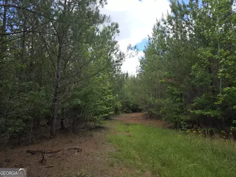 0 Davis Lake Rd, Thomaston, GA 30286 photo 4