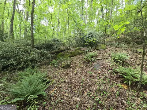 0 Davis Lake Rd, Thomaston, GA 30286 photo 20