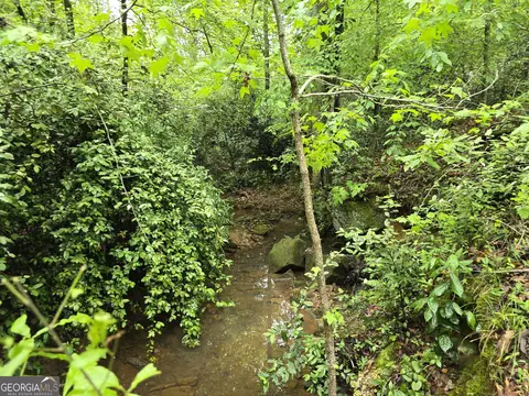0 Davis Lake Rd, Thomaston, GA 30286 photo 12