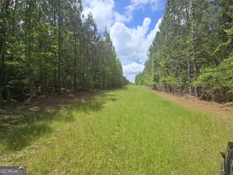 0 Davis Lake Rd, Thomaston, GA 30286 photo 25