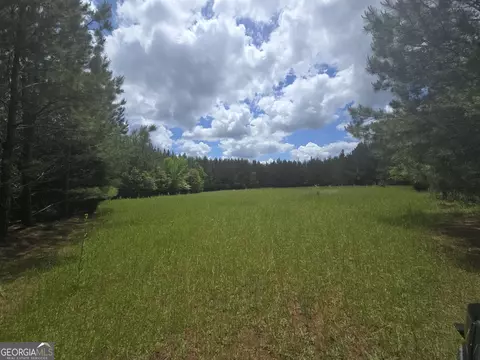 0 Davis Lake Rd, Thomaston, GA 30286 photo 26