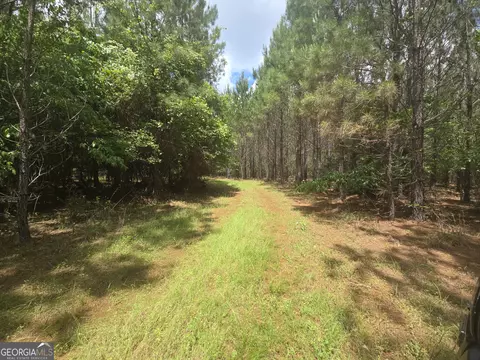 0 Davis Lake Rd, Thomaston, GA 30286 photo 27