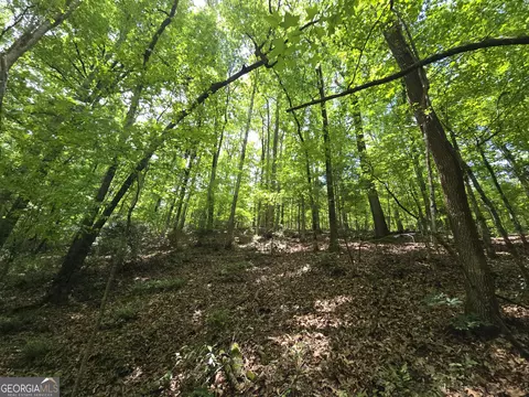 0 Davis Lake Rd, Thomaston, GA 30286 photo 18