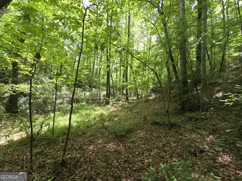 0 Davis Lake Rd, Thomaston, GA 30286 photo 19