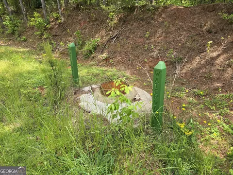 0 Davis Lake Rd, Thomaston, GA 30286 photo 31