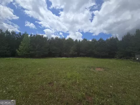 0 Davis Lake Rd, Thomaston, GA 30286 photo 29