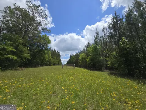 0 Davis Lake Rd, Thomaston, GA 30286 photo 2