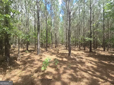 0 Davis Lake Rd, Thomaston, GA 30286 photo 28