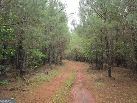 0 Davis Lake Rd, Thomaston, GA 30286 photo 5