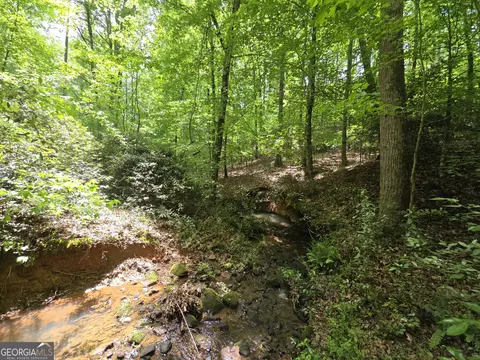 0 Davis Lake Rd, Thomaston, GA 30286 photo 16