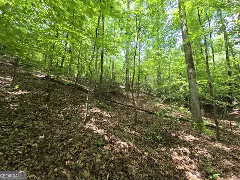 0 Davis Lake Rd, Thomaston, GA 30286 photo 17