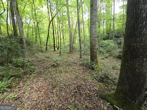 0 Davis Lake Rd, Thomaston, GA 30286 photo 21