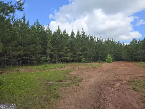 0 Davis Lake Rd, Thomaston, GA 30286 photo 6