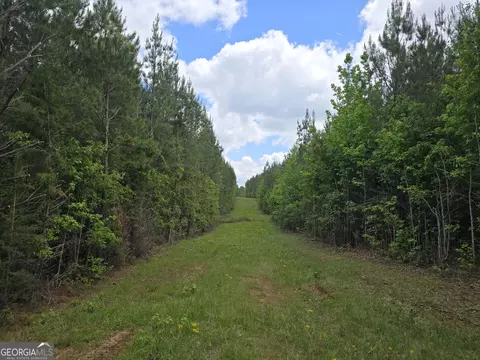 0 Davis Lake Rd, Thomaston, GA 30286 photo 3
