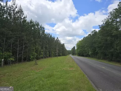 0 Davis Lake Rd, Thomaston, GA 30286 photo 9