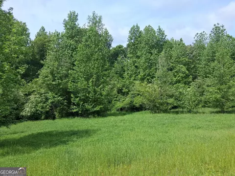 570 Gay Conn, Greenville, GA 30222