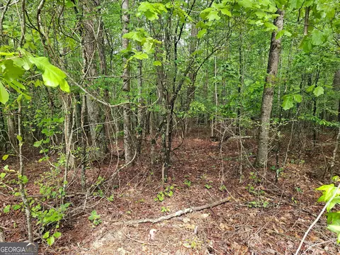 0 Berea Rd, Winston, GA 30187 photo 5