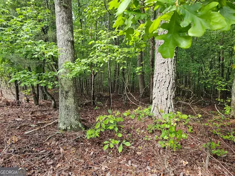 0 Berea Rd, Winston, GA 30187 photo 4