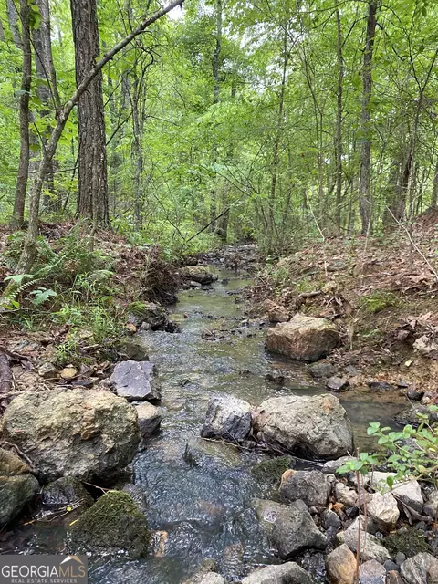 0 Fire Tower Rd, Rome, GA 30161
