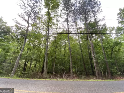 0 Fire Tower Rd, Rome, GA 30161 photo 4
