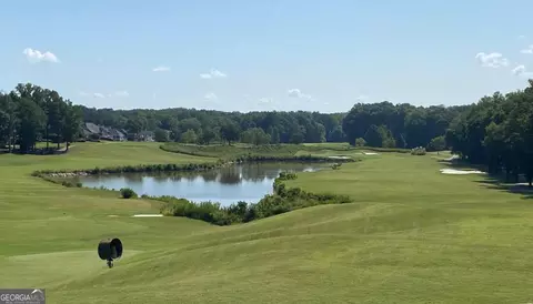 View/Area - 850 Cog Hl, Mcdonough, GA 30253 photo 2 of 3