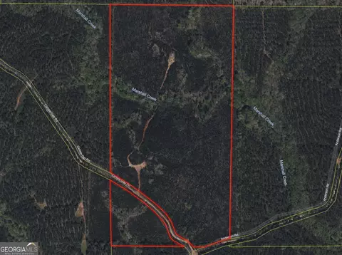 0 Carlisle Gap Rd, Woodland, GA 31836